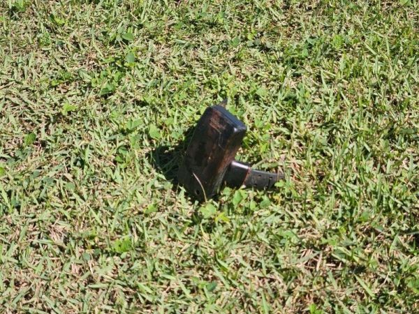 Foto: Portal Palotina