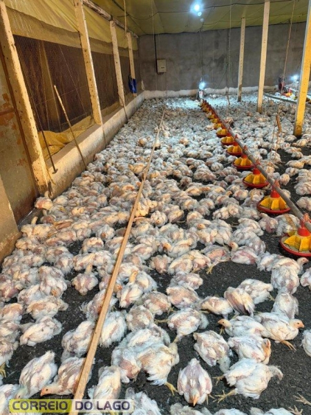 Foto: Correio do Lago.