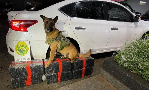 Foto: Portal Nova Santa Rosa