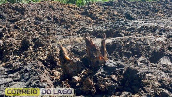 Fotos: Correio do Lago