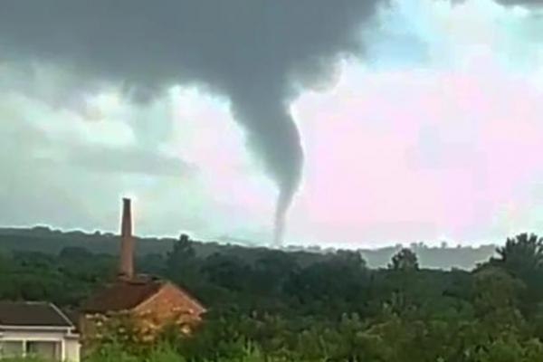 Paulo Frontin - Foto: Reprodução