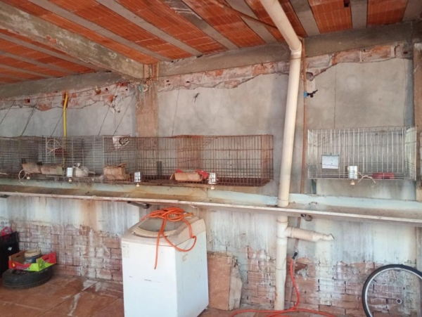 Fotos: Policia Civil de Palotina