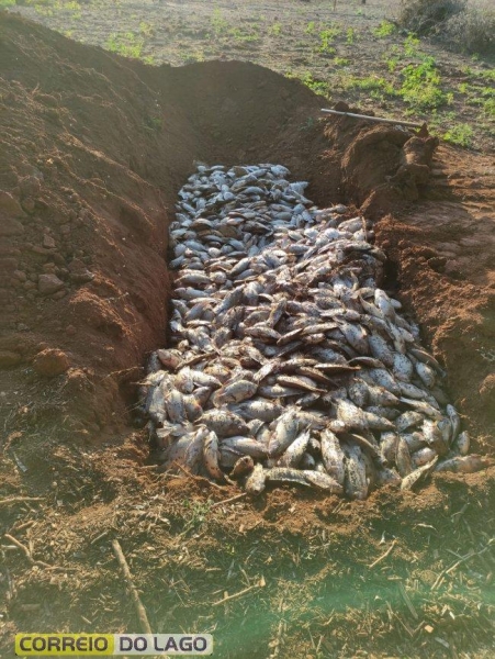 Fotos: Correio do Lago.
