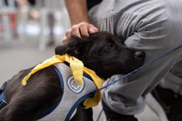 Foto: Jean Lucredi/CMC