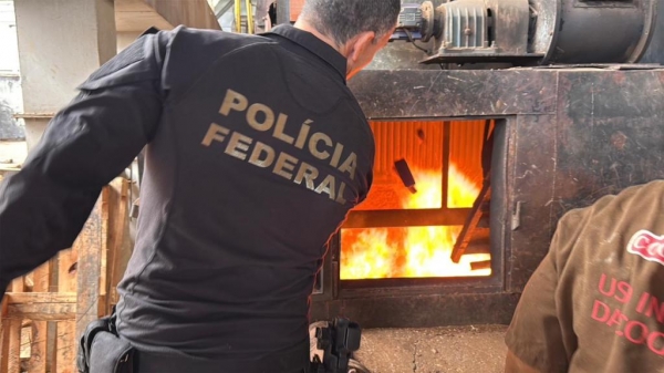 Fotos: Divulgação 