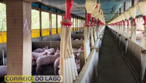 Fotos: Correio do Lago