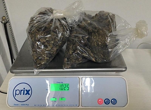 Droga apreendida. Foto: PRE.