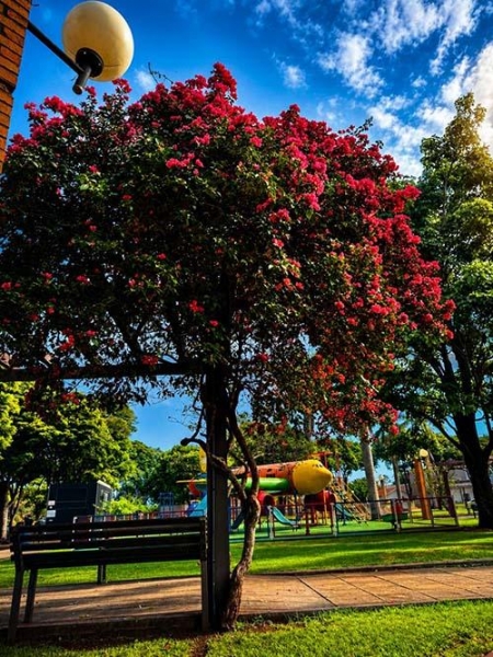 Praça da Bíblia. Foto: Scheila Marini