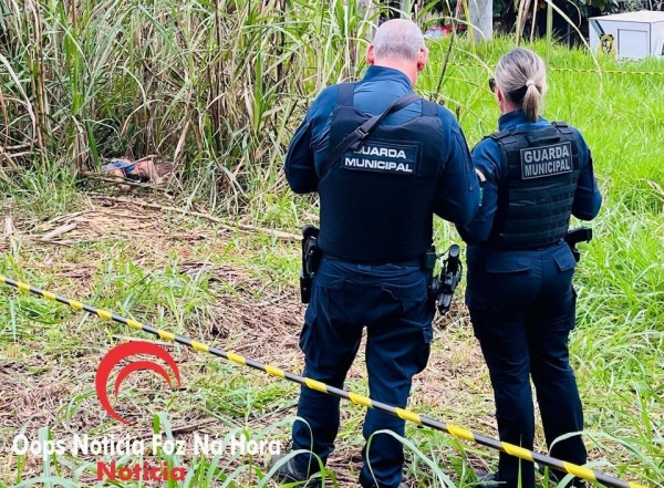 Foto: Oops Notícia Foz na Hora