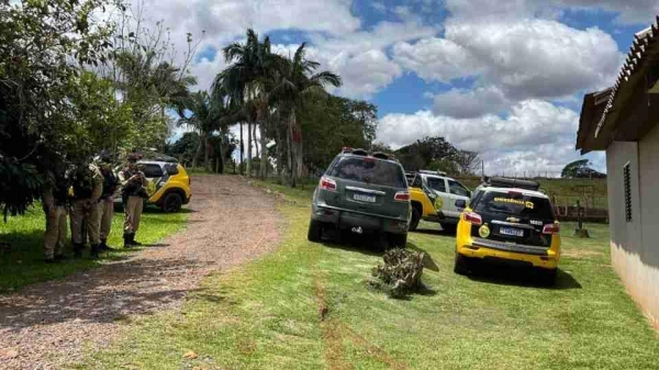 Fotos: Divulgação